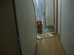 a0064213_22361968.jpg