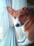 e0073418_3161829.jpg