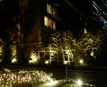 c0038524_1161548.jpg