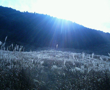 c0038524_12114100.jpg