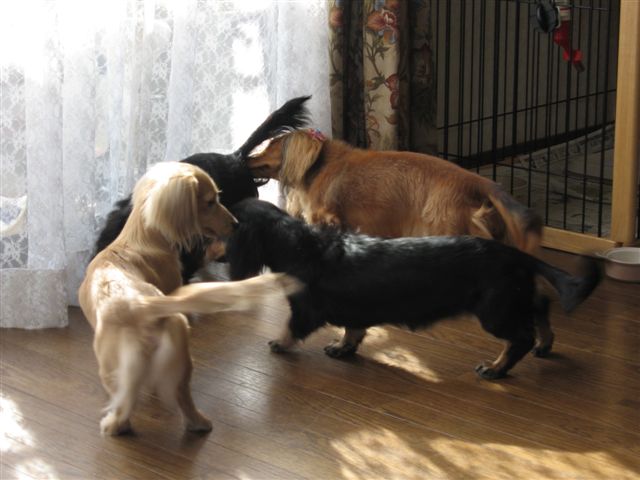 f0002532_2141750.jpg