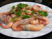 c0008439_20243777.jpg