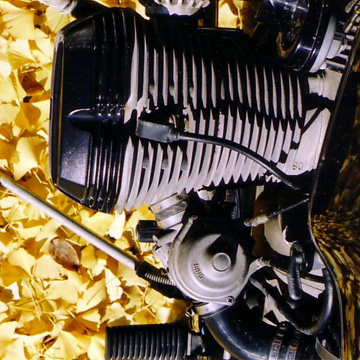 f0010639_15553071.jpg