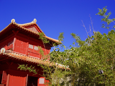 d0065247_2128151.jpg