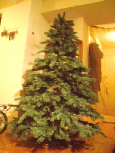 d0005157_3591049.jpg