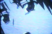 a0053558_23282858.jpg