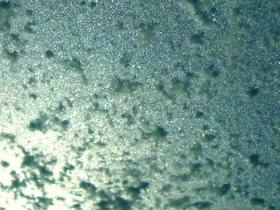 b0015260_1031262.jpg