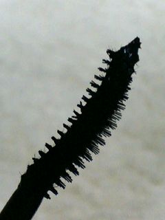 a0048874_18325810.jpg