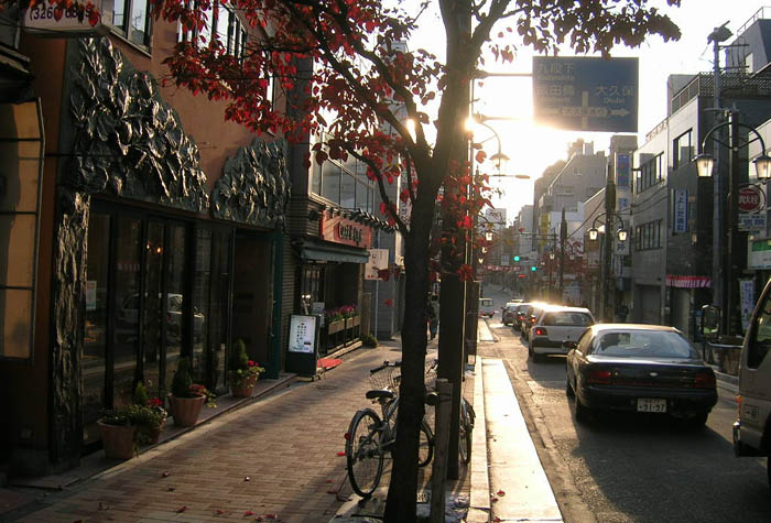 c0008378_8174437.jpg