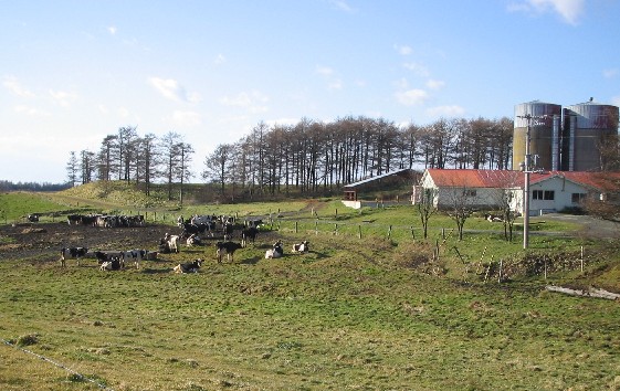c0013687_2057296.jpg