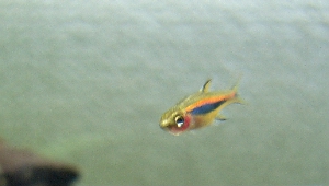 c0074591_1965344.jpg