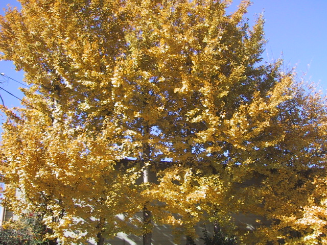 c0066693_10182566.jpg