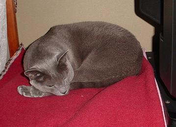 c0066610_20114862.jpg