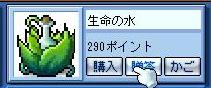 f0006510_16134675.jpg