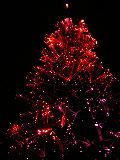 b0053414_21415297.jpg