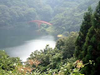 a0054016_12583868.jpg
