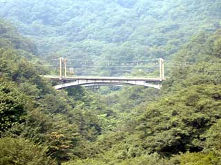 a0054016_1259037.jpg