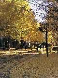 f0000616_10243276.jpg