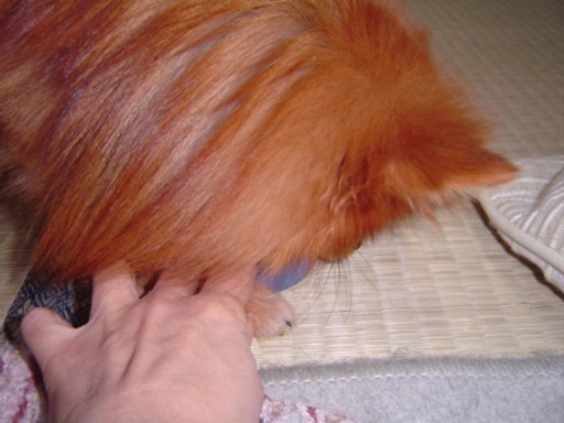 f0012924_21223541.jpg