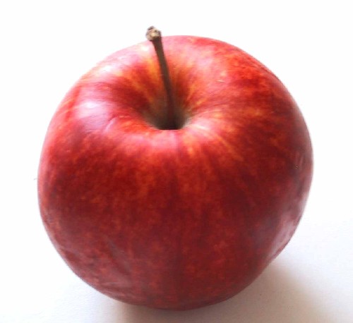 e0037838_5352389.jpg