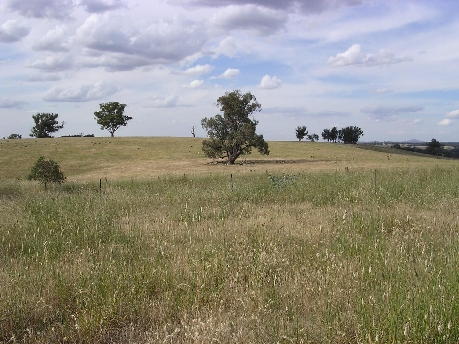 d0001241_2394924.jpg