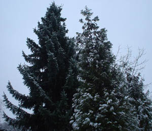 e0016845_13594019.jpg