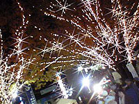 a0013855_20531925.jpg