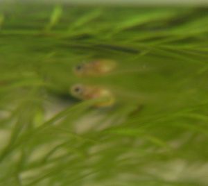 e0072757_2341493.jpg