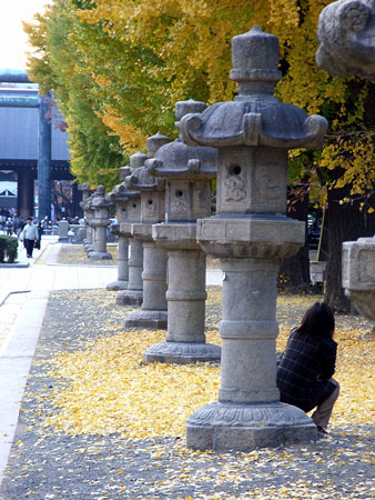c0071866_23351355.jpg