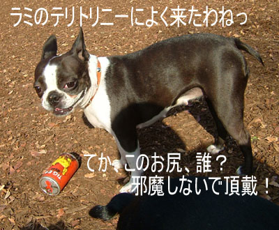 c0032567_18133764.jpg