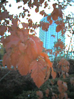 e0049877_12252228.jpg