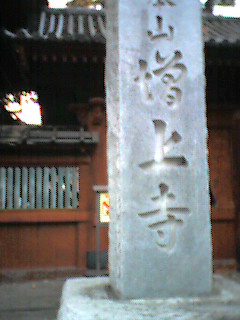 e0049877_12431127.jpg