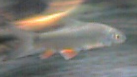 e0049877_13572718.jpg