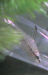 e0049877_1359326.jpg
