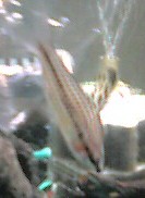 e0049877_1401066.jpg