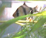 e0049877_1412083.jpg