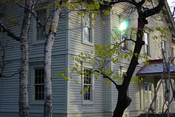 e0051186_1523090.jpg