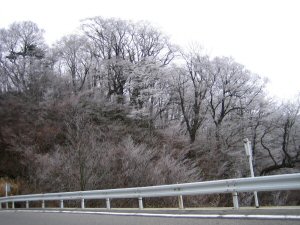 e0060987_21524454.jpg