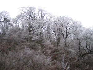 e0060987_21531294.jpg