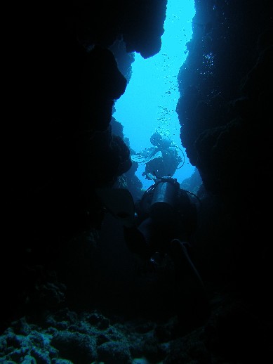 a0049693_12105618.jpg
