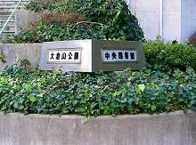 d0005397_1392818.jpg