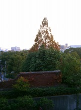 d0005397_139974.jpg