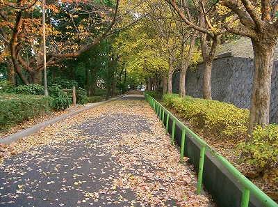 d0005397_3494161.jpg