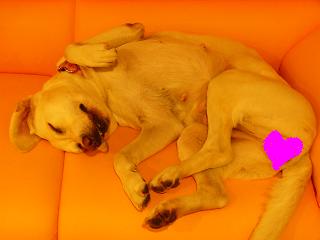 a0039299_17304658.jpg