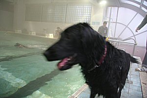 c0050400_18515750.jpg
