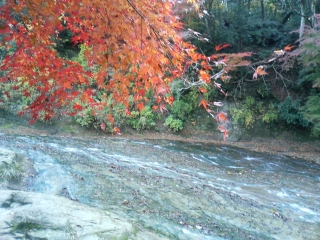 b0008103_2219165.jpg