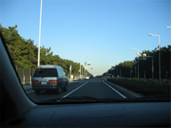 c0055305_3353174.jpg
