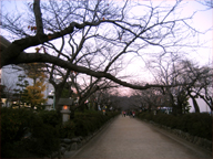 c0055305_352365.jpg