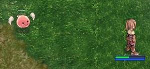 e0092907_2038478.jpg