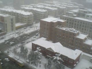 e0042911_0331031.jpg